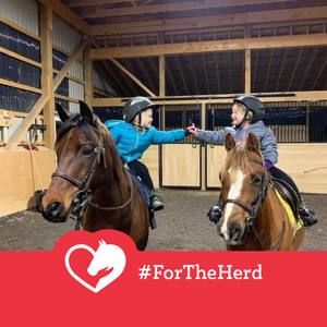 Meet your Posher, Shelley